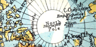 Selon des archéologues depuis l’âge de bronze nos ancêtres connaissaient déjà l’aspirine