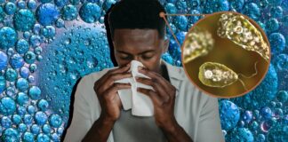 Un homme meurt infecté par une amibe «mangeuse de cerveau» en Floride