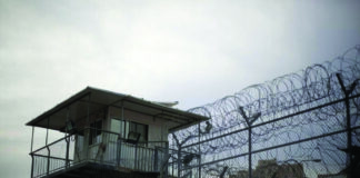 Palestine: Les détenus palestiniens poursuivent leur mouvement de désobéissance dans les prisons sionistes