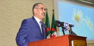 Forum des athlètes africains d’Alger: Sebgag: «l’Algérie accompagne les athlètes dans leur préparation, et après la fin de leur carrière»