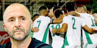 EN: Quels binationaux pour les Verts ?