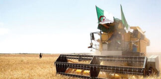 En vue d’assurer la sécurité alimentaire: Une nouvelle feuille de route pour booster le secteur de l’agriculture