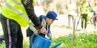 Célébration de la journée internationale des forêts: 100 000 arbres seront plantés à travers le pays