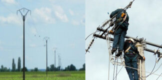 Alger: Plusieurs exploitations agricoles raccordées à l’électricité dans la région de Dar El Beida