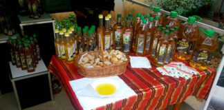 Tizi-Ouzou: Une centaine d’exposants à la fête de l’olivier de Maatkas