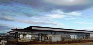 Guelma: Le marché de gros des produits agricoles frais d’Aïn Benbeïda partiellement en activité