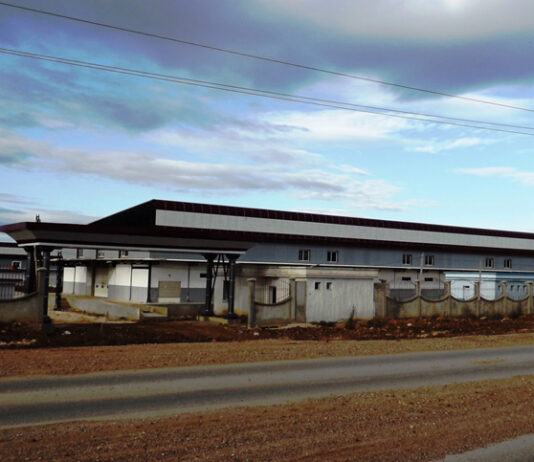 Guelma: Le marché de gros des produits agricoles frais d’Aïn Benbeïda partiellement en activité