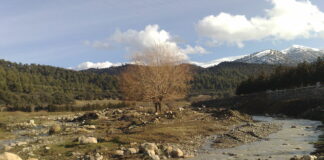 Khenchela: 5 milliards de dinars pour la réalisation du barrage d’Oued Lazreg à Bouhmama