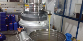 Tizi-Ouzou: Plus de 5 millions de litres d’huile d’olive produits en 2022/2023