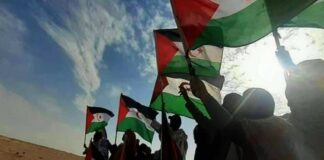 Sahara occidental: Le groupe des BRICS appelle à une solution politique garantissant le droit à l’autodétermination du peuple sahraoui