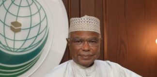 L’Organisation de la coopération islamique: Les crimes sionistes menacent la sécurité de la région