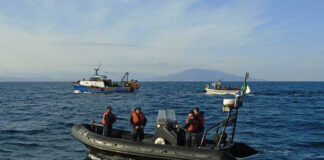 Collision entre un bateau de pêche et un navire commercial à Tipasa: Quatre marins secourus et un autre disparu