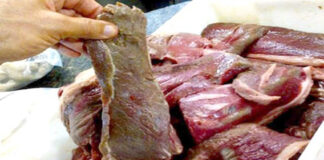 Sûreté d’Alger: Deux individus arrêtés et plus de 170 kg de viande avariée saisie