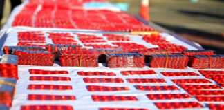 M’sila: Saisie de plus de 56 000 comprimés psychotropes