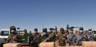 De nouvelles quantités de drogue saisies sur nos frontières avec le Maroc: Le professionnalisme des forces de l’ANP prouvé sur le terrain