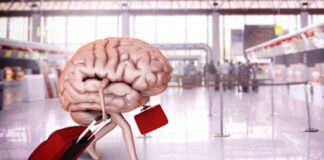 L’exode de cerveaux et la non adaptation aux nouvelles menaces mondiales: Une menace pour la sécurité nationale