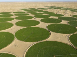 Agriculture dans les wilayas du Sud du pays: Henni annonce plus de 200 000 hectares de terres agricoles aménagées pour leur distribution aux investisseurs