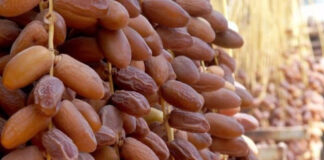 Agriculture: Les dérivés de dattes, un commerce en plein essor