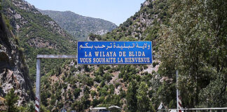 Blida: Entame du classement des groupements industriels en zones d’activités