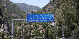 Blida: Affectation de trois programmes forestiers et ruraux au profit de la wilaya