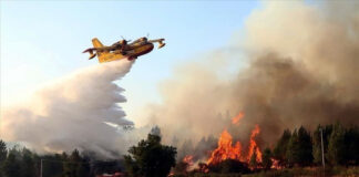Lutte contre les incendies de forêt à Guelma: Travaux de réalisation d’une hélisurface à Aïn Ben Beïda