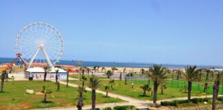 Saison estivale 2023 à Alger: Réaménagement de cinq sites forestiers en espaces de repos et de loisirs…