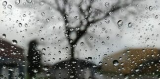 Météo : Pluies orageuses ce samedi sur ces wilayas
