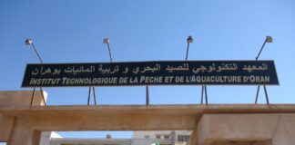 ITPA d’Oran: Lancement d’une formation sur la culture de l’Azolla et des lentilles de mer