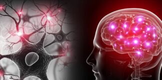 Ce pic d’activité cérébrale lorsqu’on meurt qui intrigue les scientifiques