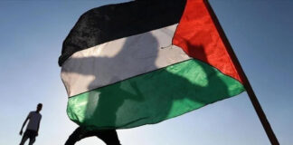 Palestine – Souffrance des Palestiniens: Le Conseil de sécurité appelé à visiter les territoires occupés