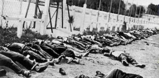 Massacres du 8 mai 1945: Lorsque Mai appelle Novembre