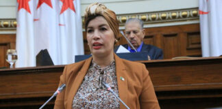 Festivals locaux des arts et des cultures populaires: Vers une restructuration totale