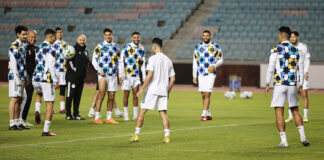 EN: Quel groupe pour le prochain stage des Verts ?