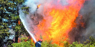 Lutte contre les feux de forêt: Une nouvelle stratégie basée sur la veille et l’anticipation