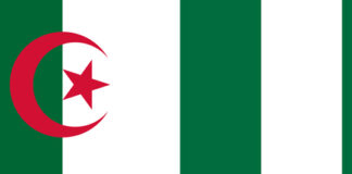 Algérie-Nigéria: Une coopération économique consolidée et des projets stratégiques en commun