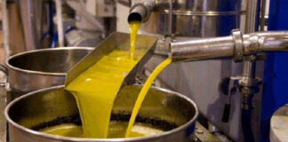 Tébessa: Les pressoirs à l’huile d’olive de Berzkal défient les assauts du temps