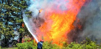 Mila: Quatre véhicules anti-incendie pour renforcer le dispositif de lutte contre les feux de forêt