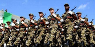 Les forces de l’ANP continuent à traquer toutes formes de criminalité et de contrebande: Une détermination infaillible sur le terrain