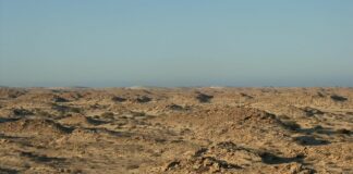 Selon le site Middle East Eye: L’Algérie fait payer l’Espagne pour sa rupture de neutralité sur le Sahara occidental