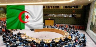 L’Algérie au Conseil de sécurité: Une reconnaissance de son rôle dans l’instauration de la paix et la sécurité internationales