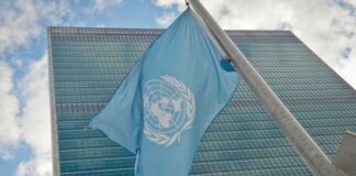 L’Algérie au Conseil de sécurité de l’ONU: Une occasion historique pour mobiliser du soutien en faveur des causes justes