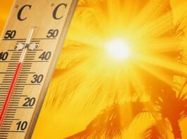 Bulletin de vigilance météorologique: Jusqu’à 45°C attendus dans plusieurs wilayas