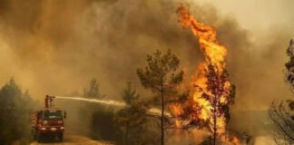 INCENDIES: 97 foyers enregistrés à travers 16 wilayas dans la nuit de lundi