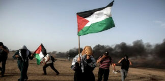 Palestine: L’entité sioniste est «raciste», selon une députée américaine