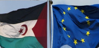 Sahara occidental: Le Front Polisario renouvelle son engagement à délivrer des autorisations directes aux pêcheurs européens
