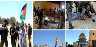 Palestine: Consultations au Conseil de Sécurité au sujet des derniers développements en Palestine occupée