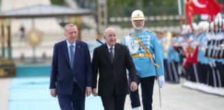 Visite d’Etat: Après la Chine, Tebboune à pied d’œuvre à Ankara