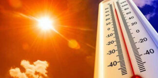 Températures records: La mise en place d’un mécanisme d’alerte recommandée