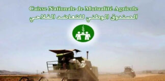 Agriculture: La CNMA organise des Journées de sensibilisation sur l’assurance agricole