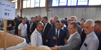 Médéa: Les céréaliculteurs impactés par le manque de pluviométrie seront indemnisés